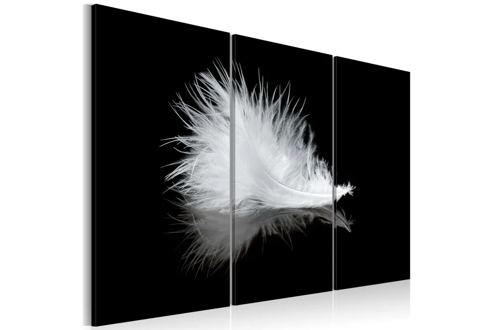 Bilde A small feather 90×60 v:9552529 Bilde A small feather 90×60 v:9552529