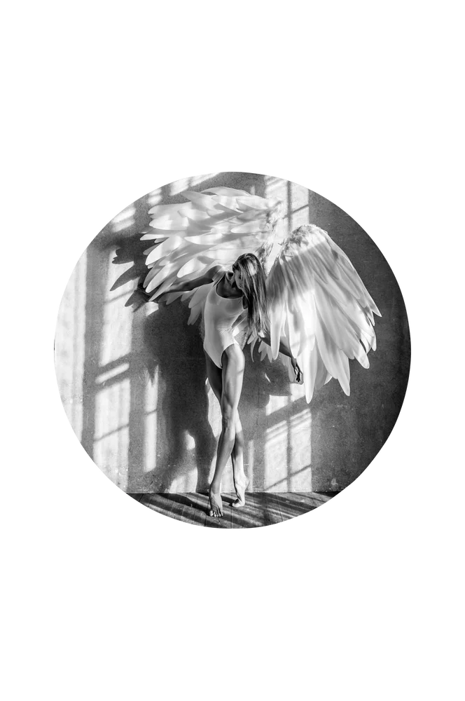 Bilde Angel dream 1 – Svart – Dekor | m v:138512