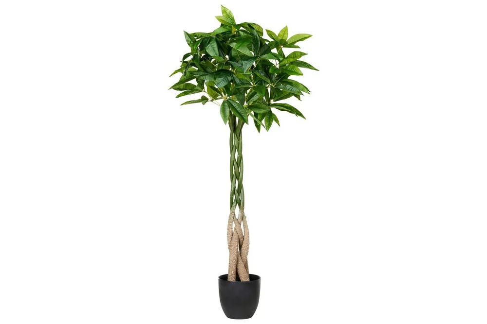 Konstgjord växt Beliani Pachira Tree Green||Black v:1207131