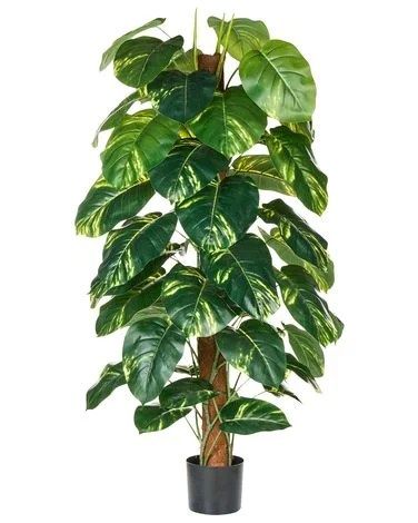 Kunstig plante DIEFFENBACHIA 152 cm Grønn v:7983103 Kunstig plante DIEFFENBACHIA 152 cm Grønn v:7983103