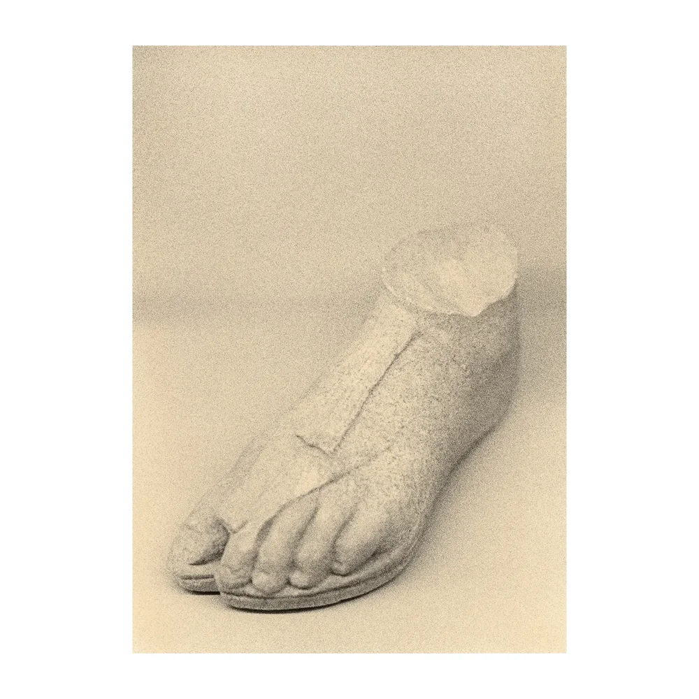 The Foot plakat v:4949966