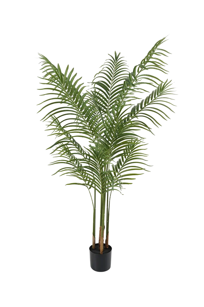 Kunstig plante Kwai Tree – Grønn – Dekor | m v:7889326
