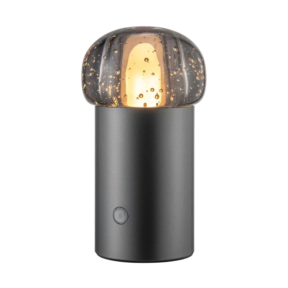 Iris LED-lampe 18 cm v:2636026 Iris LED-lampe 18 cm v:2636026