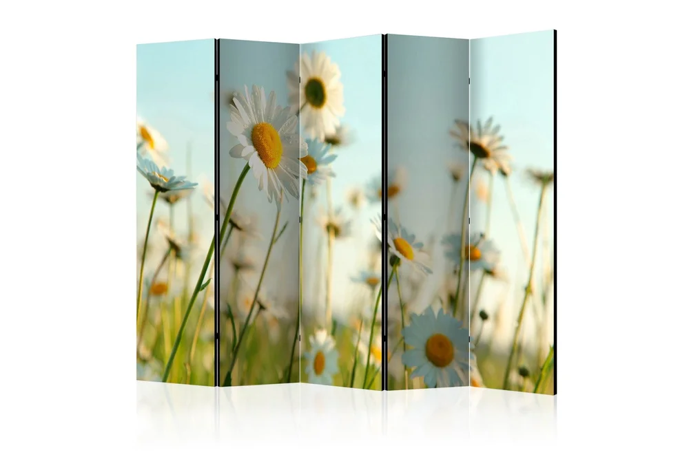 Kadira Romdeler 225×172 v:2180863 Kadira Romdeler 225×172 v:2180863
