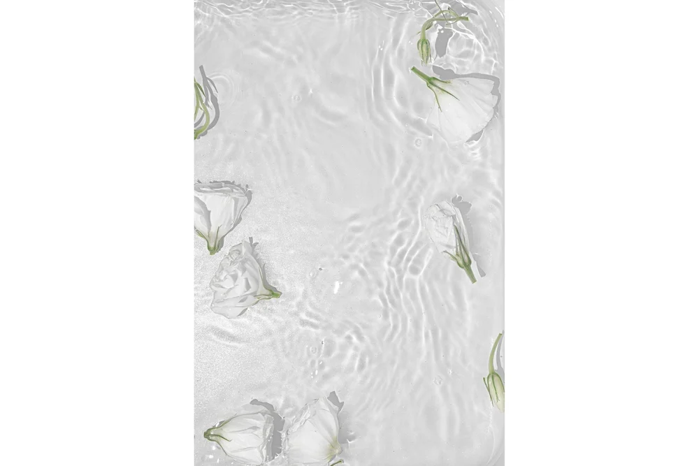 Poster White Roses 50x70 cm v:1607221