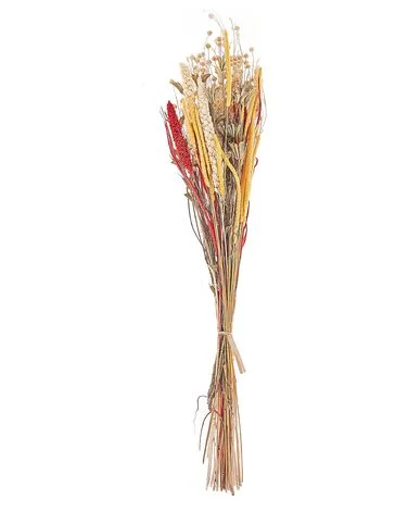 Bukett av tørkede Blomster PAMPELUNA 65 cm Naturlig v:8712074