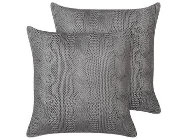 Sett med 2 pynteputer CONSTYLIS 45 x 45 cm Bomull Mørkegrå Ensfarget v:5306541 Sett med 2 pynteputer CONSTYLIS 45 x 45 cm Bomull Mørkegrå Ensfarget v:5306541