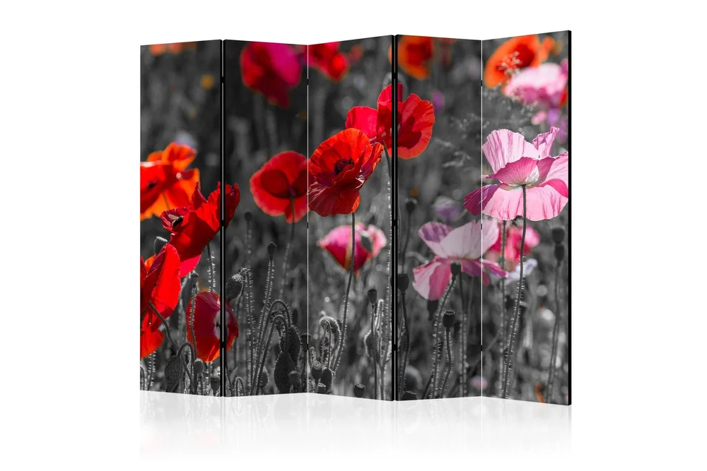Kadira Rumsavdelare 172×225 cm VALUE_MISSING_1 v:1214423