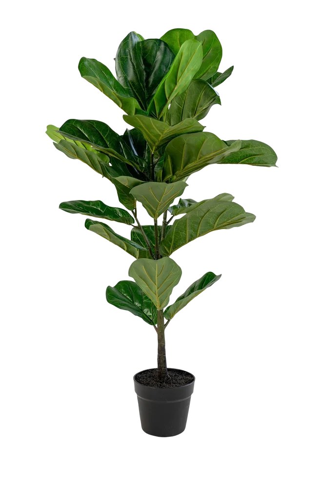 Potteplante Fiddle, kunstig, H100 cm – Grønn – Dekor | m v:1371660