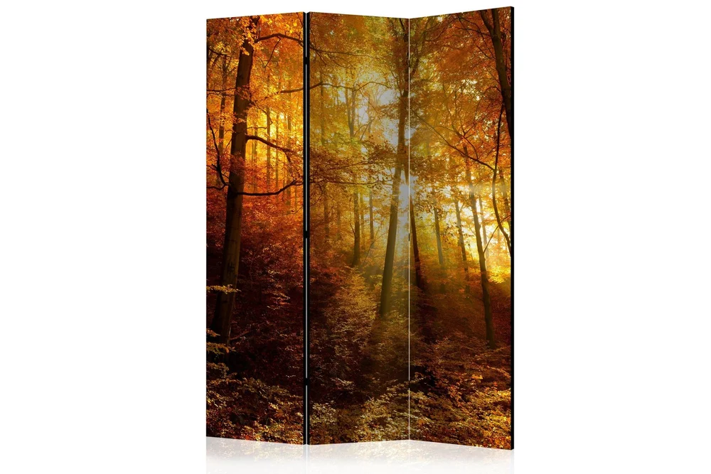 Romdeler - Autumn Illumination 135x172 v:4477417
