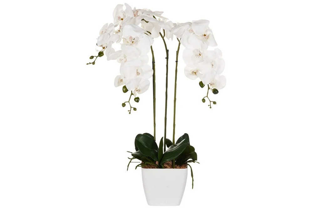 Konstgjord växt Beliani Orchid 22x22x59 cm Green||White v:5114342