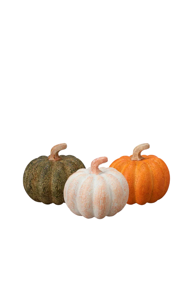 Bland i boks Pumpa – Flerfarget – Dekor | m v:1031829