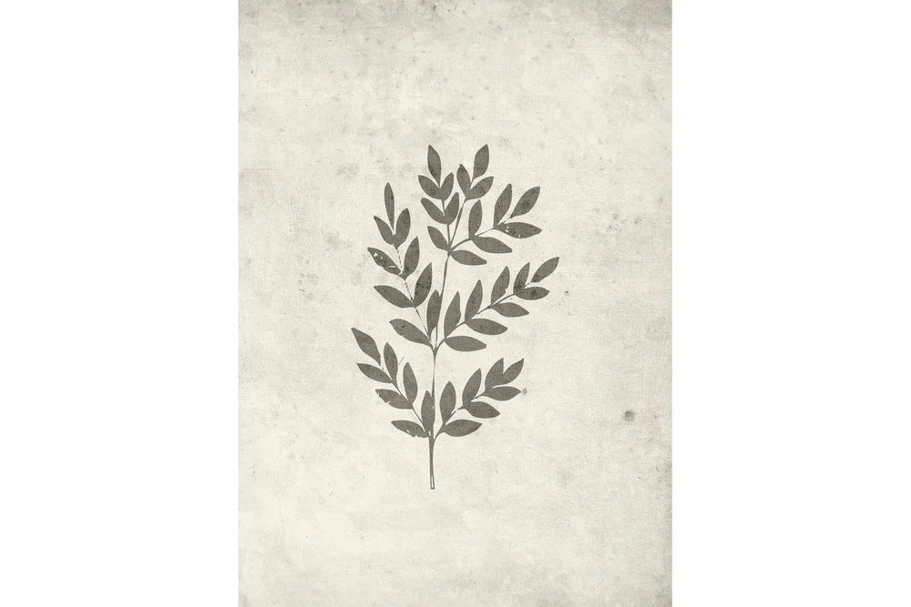 Poster Spring leaf 50x70 cm v:1327476