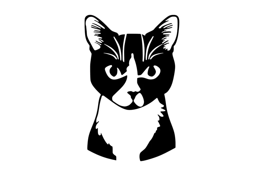 Cat 10 Veggdekor v:4503795 Cat 10 Veggdekor v:4503795