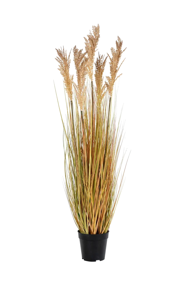 Kunstig plante Durra. Plante av PE-plast. – Grønn – Dekor | m v:3127763
