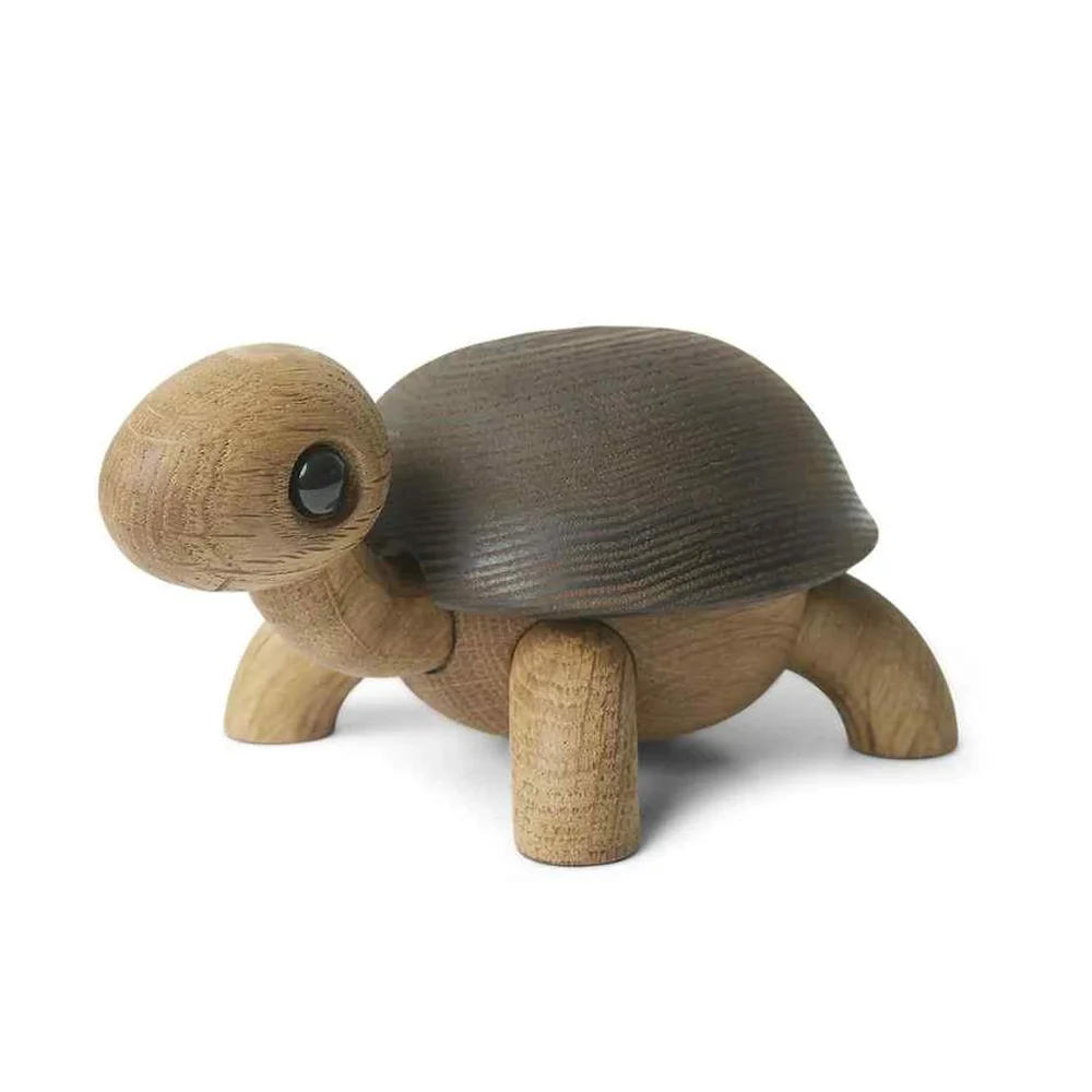 Slowy skilpadde dekorasjon v:9838456
