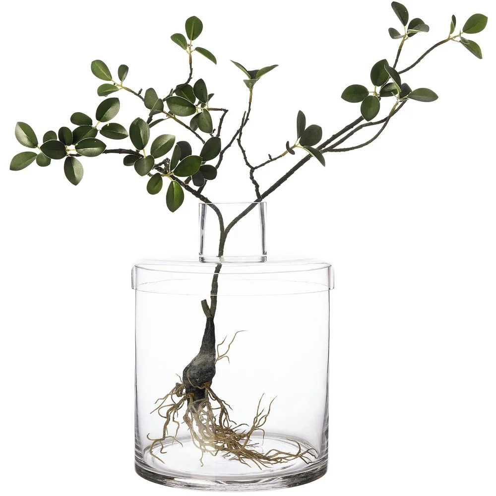 Vase med Lokk H28 cm v:6782582